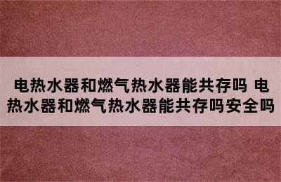 电热水器和燃气热水器能共存吗 电热水器和燃气热水器能共存吗安全吗